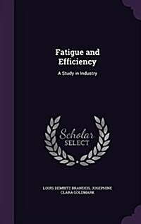 Fatigue and Efficiency: A Study in Industry (Hardcover)