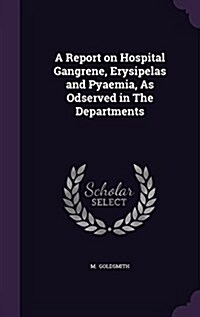 A Report on Hospital Gangrene, Erysipelas and Pyaemia, as Odserved in the Departments (Hardcover)