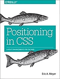 Positioning in CSS: Layout Enhancements for the Web (Paperback)