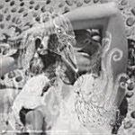 [수입] Bjork - Vespertine - Surrounded [Dual Disc]