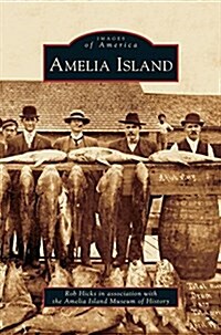 Amelia Island (Hardcover)
