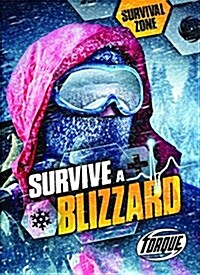 Survive a Blizzard (Library Binding)