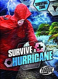 Survive a Hurricane (Library Binding)