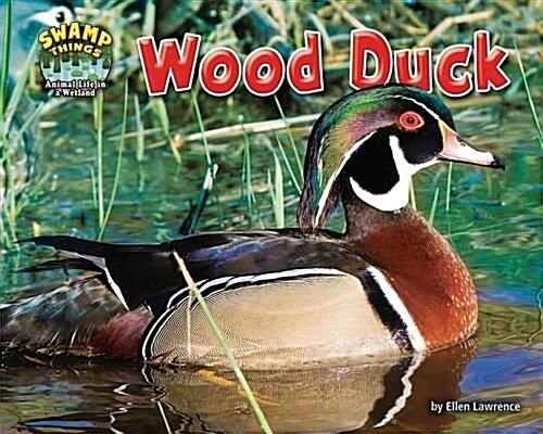 Wood Duck (Library Binding)