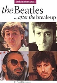 The Beatles After the Break-Up (Paperback)