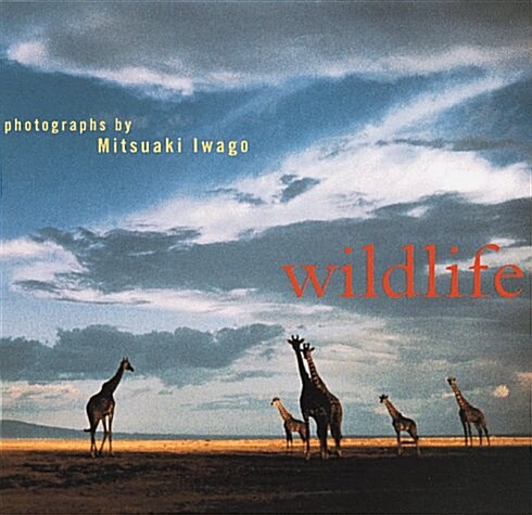 Wildlife (Hardcover)