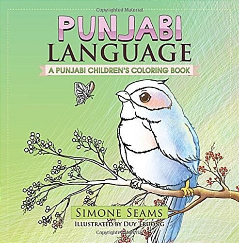 Punjabi Language (Paperback, CLR)