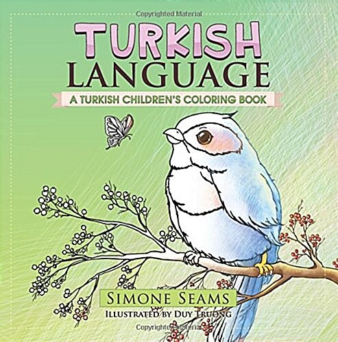 Turkish Language (Paperback, CLR)