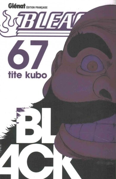 Bleach 67 (Paperback)