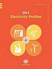 Electricity Profiles: 2013 (Paperback)