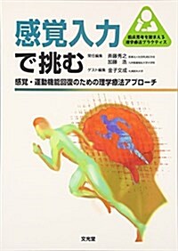 感覺入力で挑む―感覺·運動機能回復のための理學療法アプロ-チ (臨牀思考を踏まえる理學療法プラクティス) (單行本)