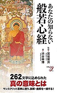 あなたの知らない般若心經 (新書y) (新書)