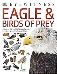Eagle & Birds of Prey (Paperback)