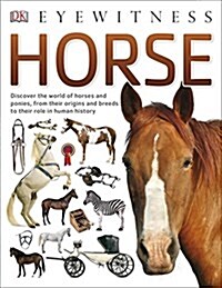 [중고] Horse (Paperback)