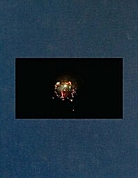 Apichatpong Weerasethakul Sourcebook (Paperback)