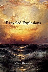 Recycled Explosions (Paperback)