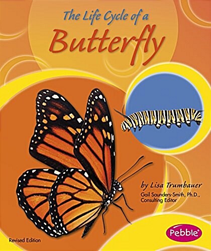 The Life Cycle of a Butterfly (Paperback)