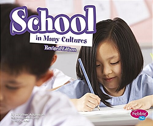 School in Many Cultures (Paperback)