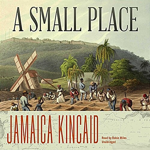 A Small Place (Audio CD)