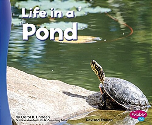 Life in a Pond (Paperback)