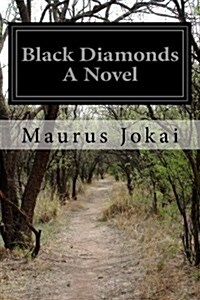 Black Diamonds a Novel (Paperback)