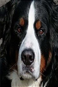 My Journal: Bernese Mountain Dog, Blank 150 Page Lined Diary / Journal / Notebook (Paperback)