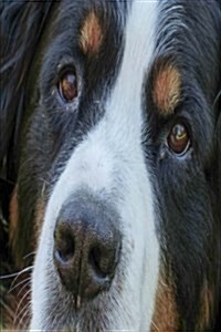 My Journal: Bernese Mountain Dog Puppy Eyes, Blank 150 Page Lined Diary / Journal / Notebook (Paperback)