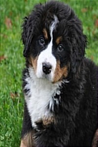 My Journal: Bernese Mountain Dog Puppy, Blank 150 Page Lined Diary / Journal / Notebook (Paperback)