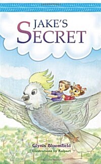 Jakes Secret (Paperback)