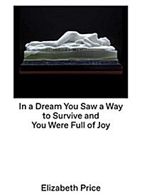 Elizabeth Price Curates : In a Dream You Saw a Way to Survive and You Were Full of Joy (Hardcover)