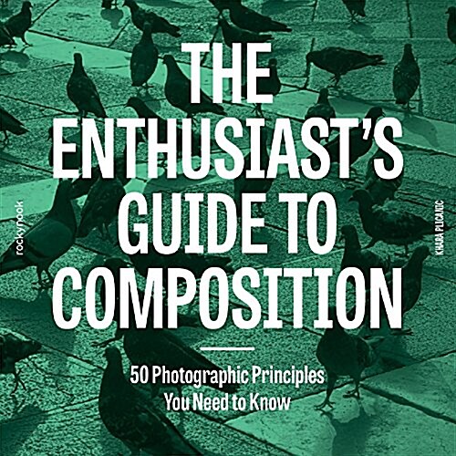 The Enthusiasts Guide to Composition: 48 Photographic Principles You Need to Know (Paperback)