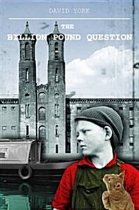 The Billion Pound Question (Hardcover)