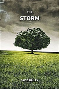 The Storm (Hardcover)