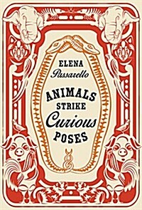 Animals Strike Curious Poses (Hardcover)