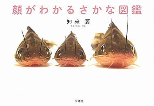 顔がわかるさかな圖鑑 (單行本)