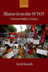 Blame it on the WTO? : a human rights critique