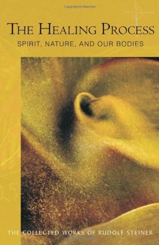 The Healing Process: Spirit, Nature & Our Bodies (Cw 319) (Paperback)