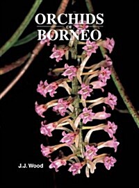 Orchids of Borneo (Hardcover)