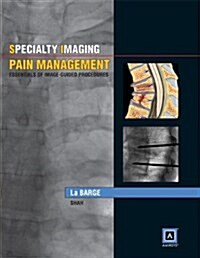 Specialty Imaging: Pain Management: Essentials of Image-Guided Procedures: Published by Amirsys (Hardcover)