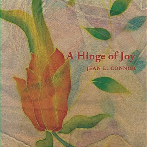 A Hinge of Joy (Paperback)