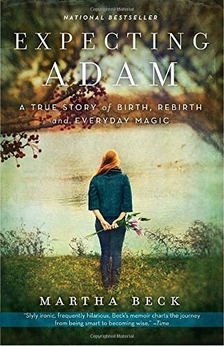 Expecting Adam: A True Story of Birth, Rebirth, and Everyday Magic (Paperback)