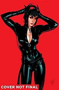 Catwoman, Volume 6: Final Jeopardy (Paperback)