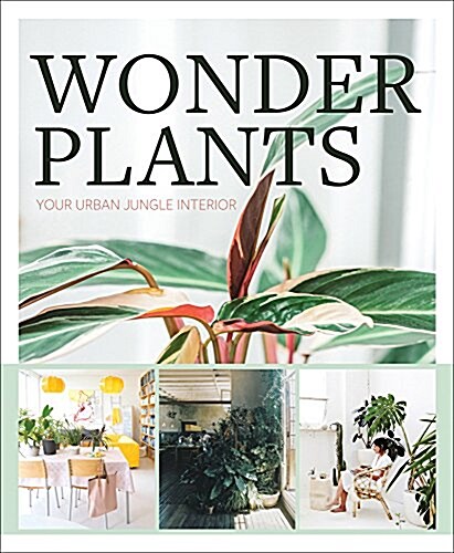 [중고] Wonder Plants: Your Urban Jungle Interior (Hardcover)