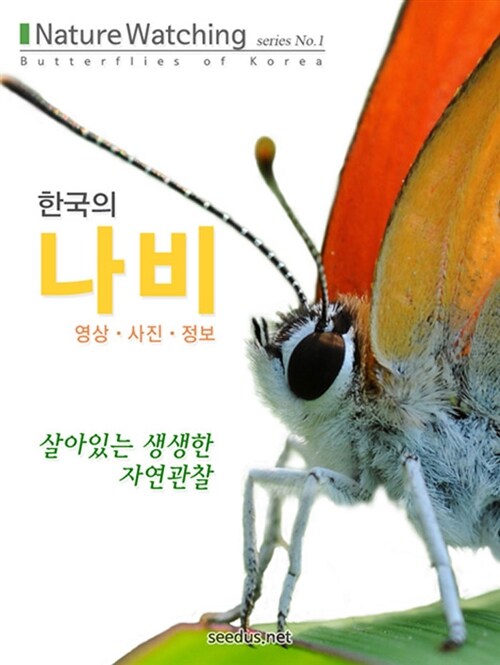 한국의 나비