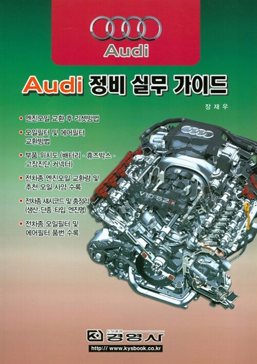 Audi 정비 실무 가이드