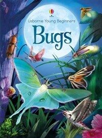 Young Beginners Bugs (Hardcover)