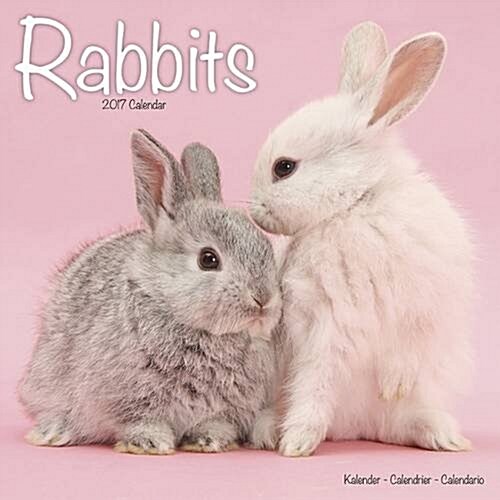 Rabbits Calendar 2017 (Calendar)