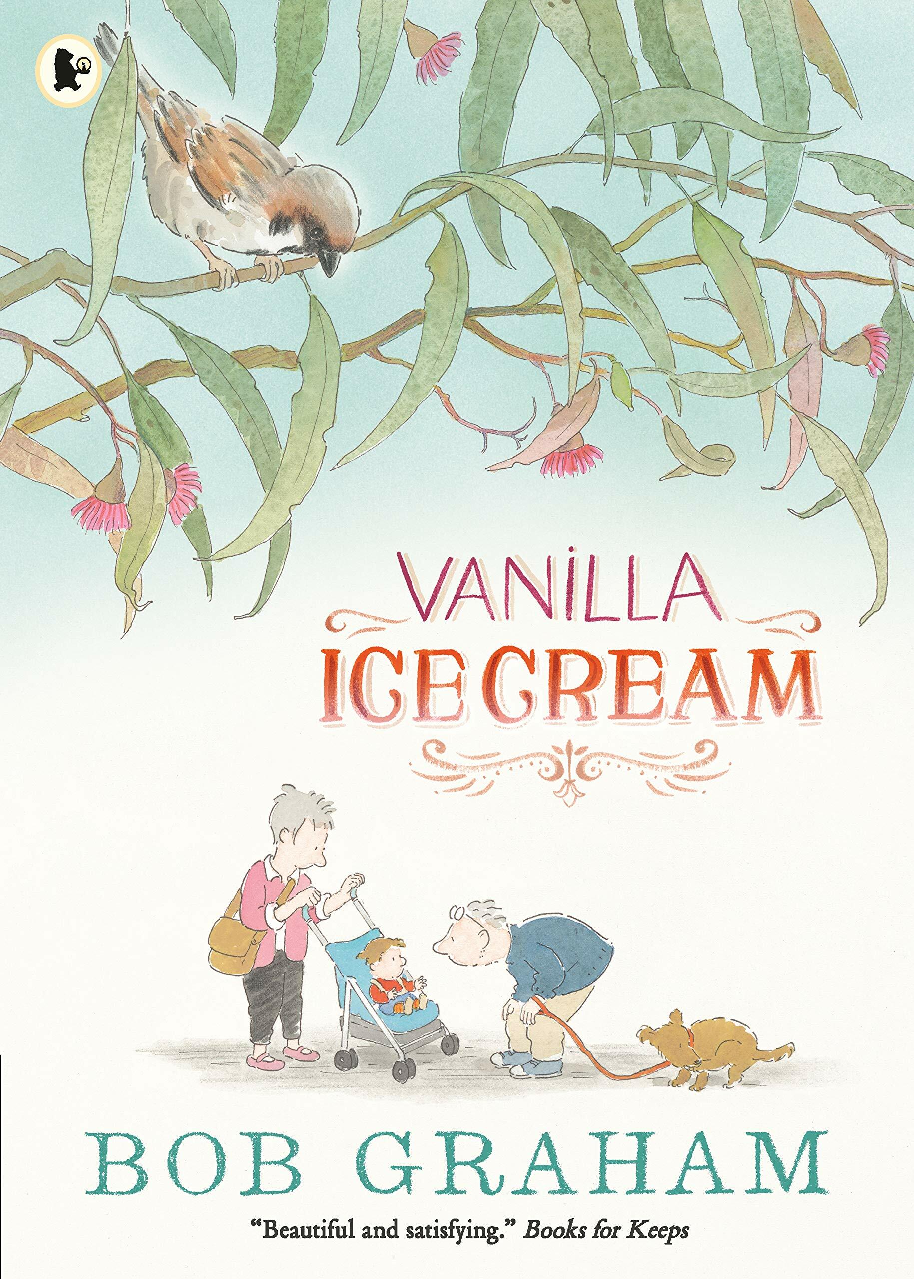 Vanilla Ice Cream (Paperback)