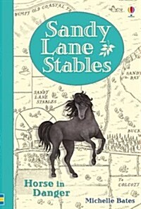 Sandy Lane Stables : Horse in Danger (Hardcover)