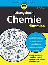 Ubungsbuch Chemie Fur Dummies (Paperback)